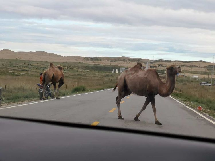 敦煌租車價(jià)格