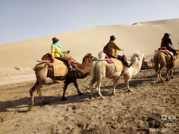 敦煌租車(chē)如何判斷租車(chē)公司是否正規(guī)呢？