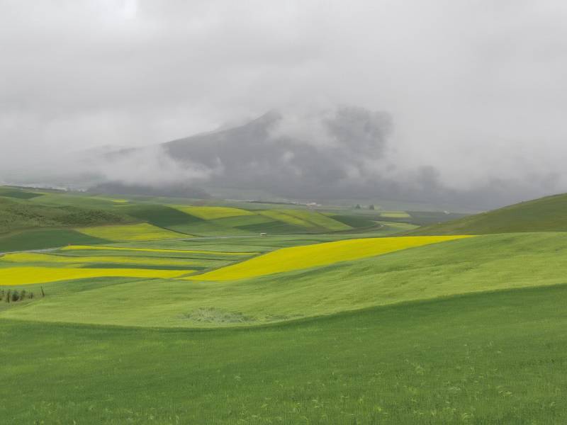 敦煌租車商務(wù)接待租車時(shí)要注意什么？