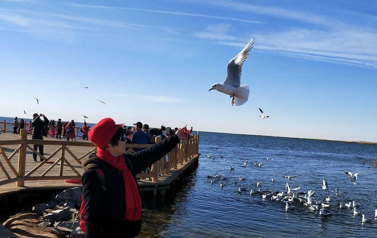 公司和企業(yè)在敦煌租車(chē)時(shí)應(yīng)該注意什么？