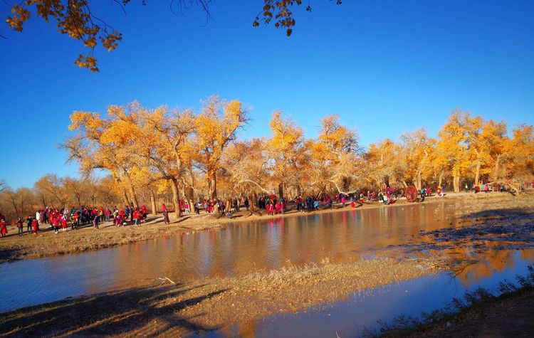 敦煌租車(chē)多少錢(qián)一天？