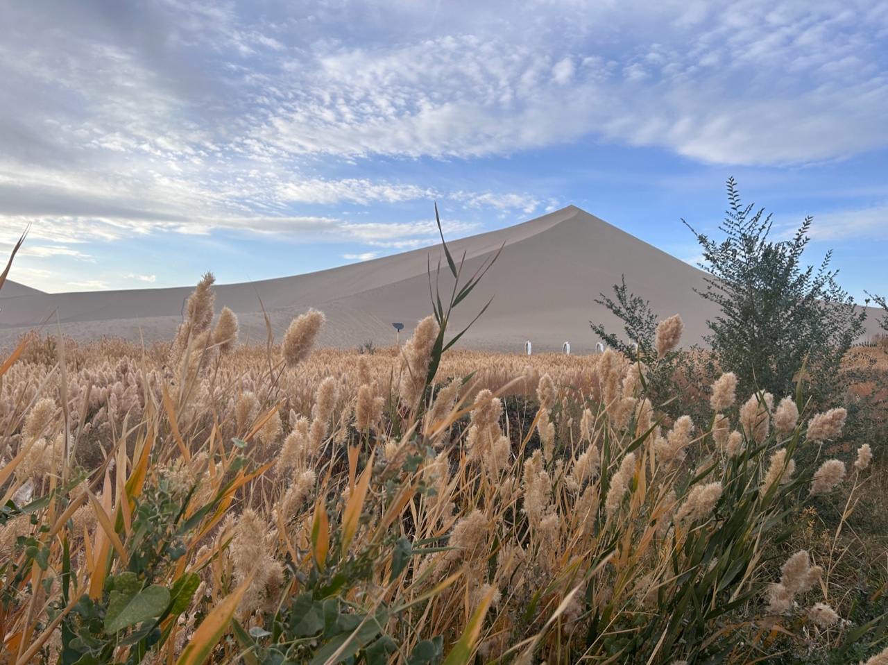 敦煌包車租車包車的幾點(diǎn)小建議！