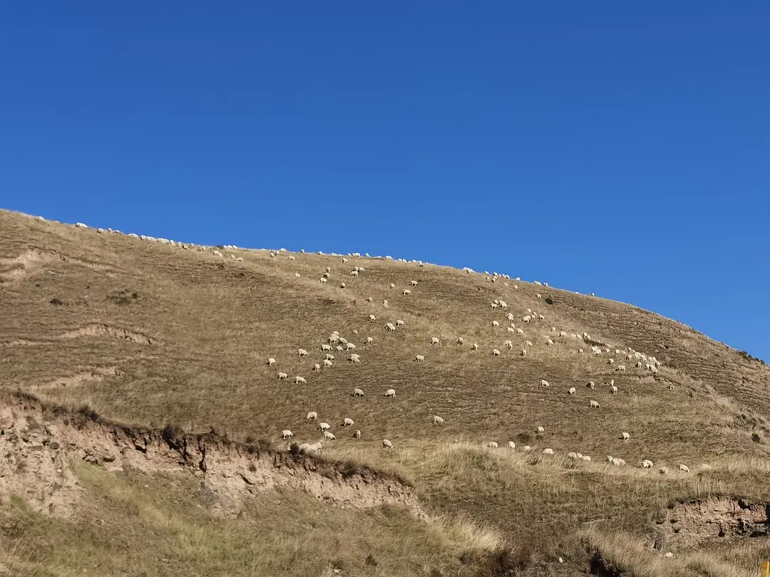 敦煌包車租車小技巧你知道多少？