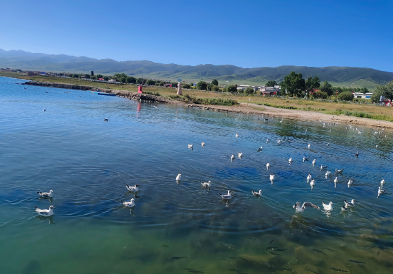 敦煌包車租車告訴你幾個常見的租車誤區(qū)