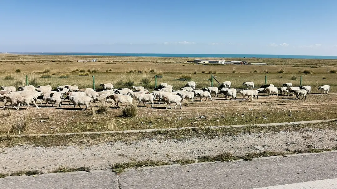 敦煌逐西租車公司：汽車租賃公司遇到投訴要怎么應(yīng)對