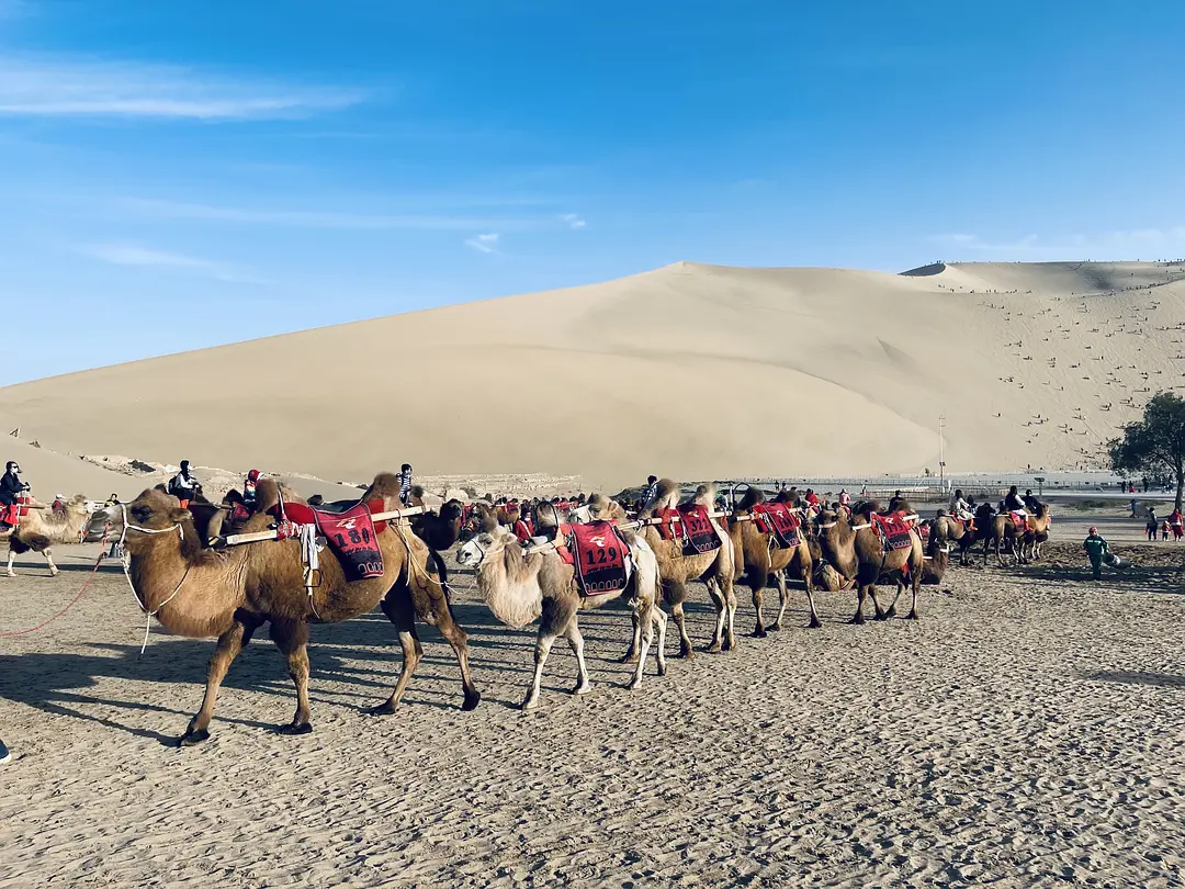 逐西租車公司的專家釋疑：冬季開車為什么油耗會變高？