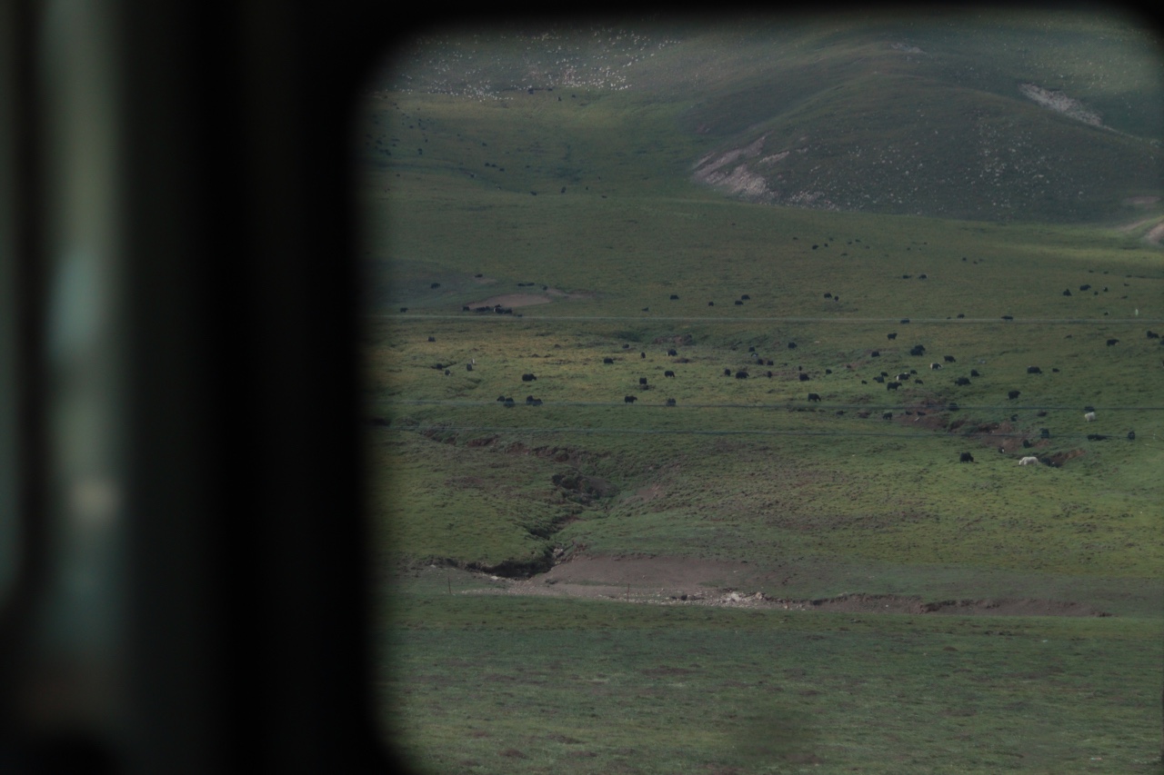敦煌逐西租車公司：春節(jié)租車小技巧自駕租車如何租車最劃算