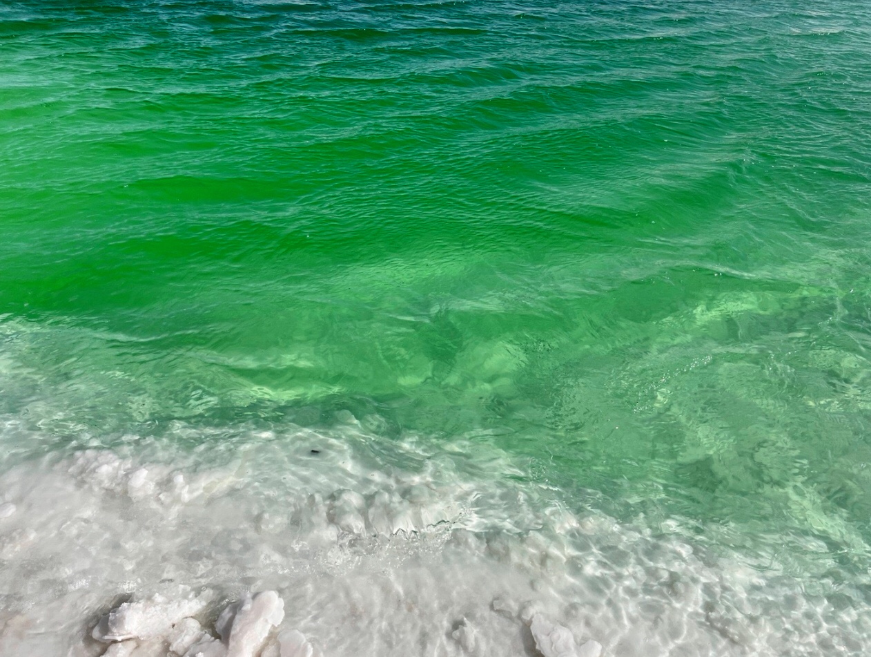 敦煌租車公司：租車常見問題解答