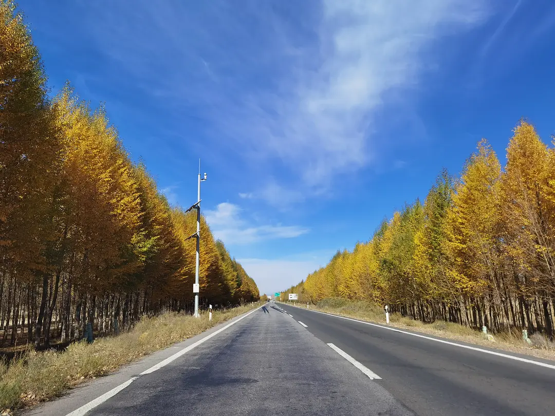 敦煌租車小團(tuán)包車旅游：敦煌包車到青海湖西寧用越野車好還是轎車呢?