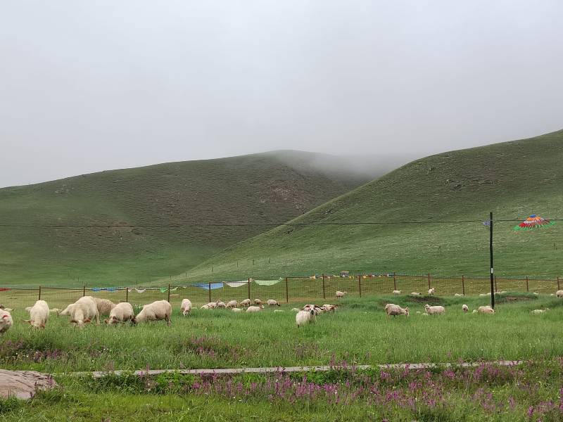 敦煌租車一天多少錢？——探尋租車價(jià)格的奧秘