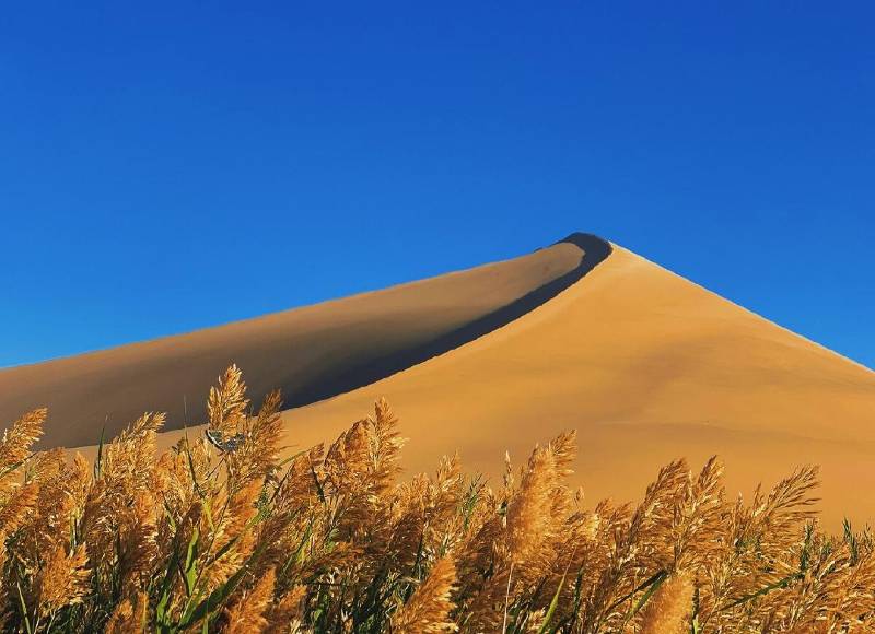 甘肅包車師傅推薦