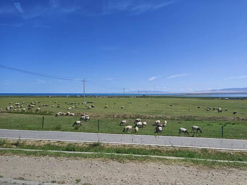 夏天怎么使用汽車空調(diào)？怎么保養(yǎng)呢？