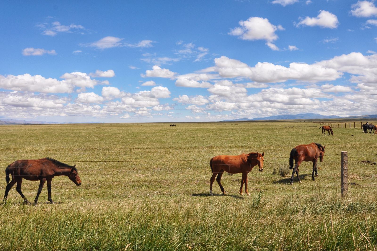 從蘭州租車去西北玩怎么樣？