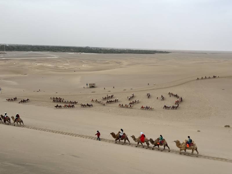 蘭州旅游包車，蘭州商務(wù)專車，蘭州途接送服務(wù)