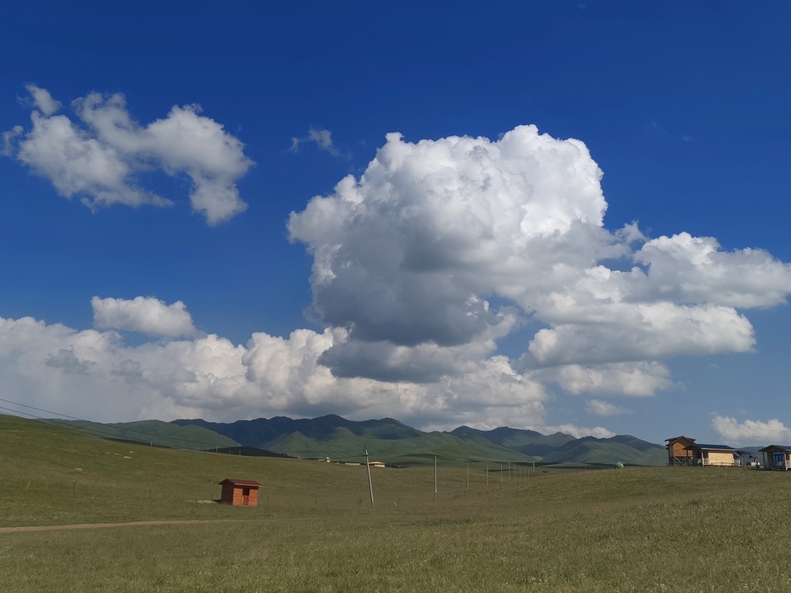 甘肅租車公司租車需要什么流程，推薦甘肅逐西租車公司