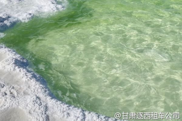 我們想包車去山丹軍馬場，能體驗騎馬嗎？  