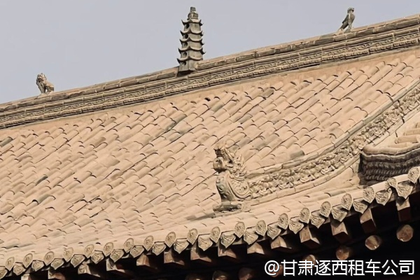 想找一位熟悉植物學(xué)的導(dǎo)游，包車(chē)講解河西走廊植被？  