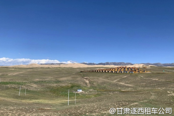 我們想包車(chē)去和政古動(dòng)物化石博物館，值得看嗎？  