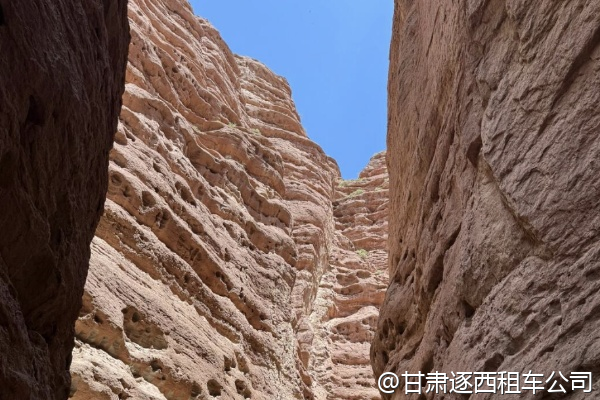 包車(chē)司機(jī)有健康證明嗎？疫情期間注意什么？  